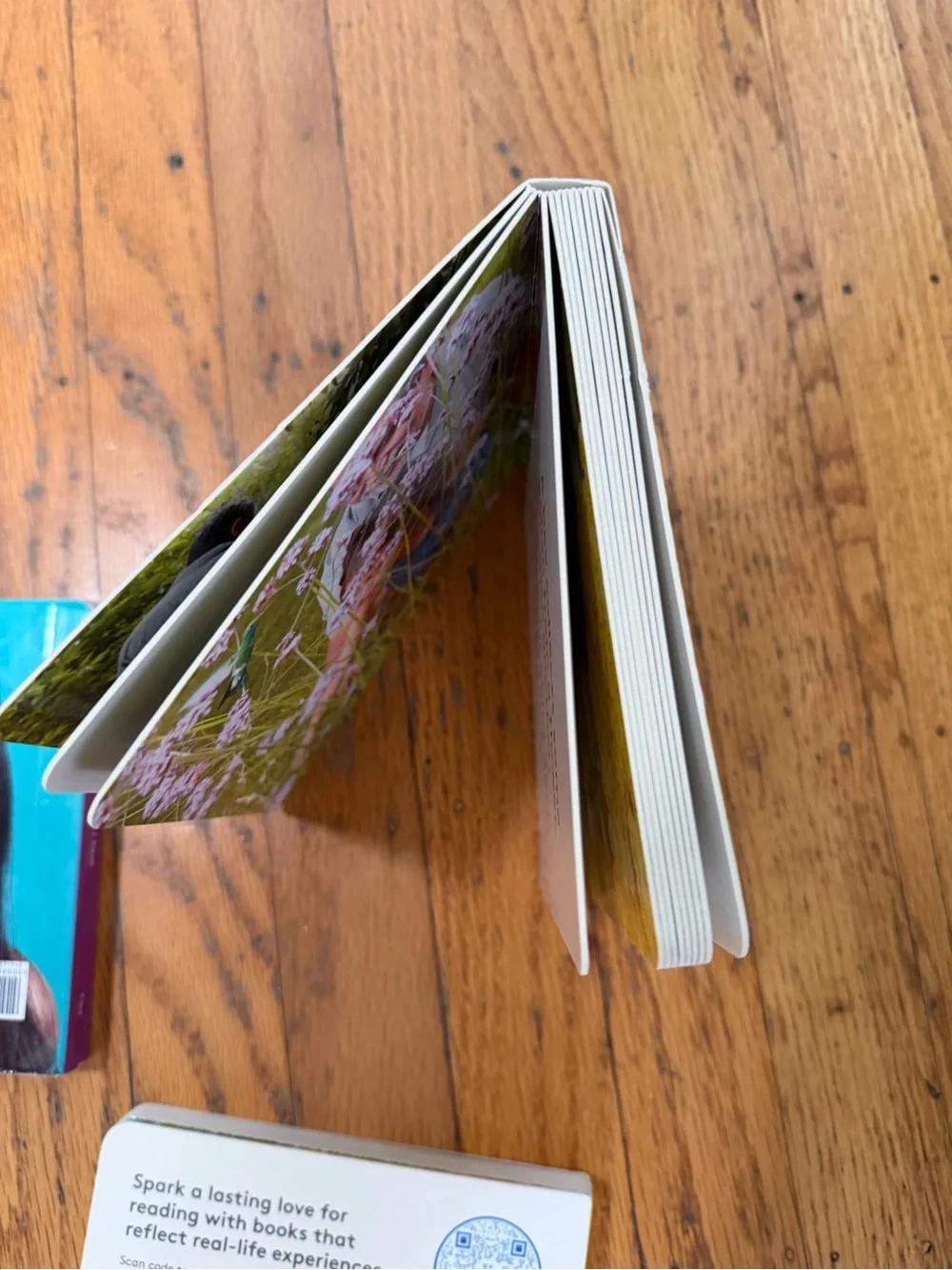 4 Books - Lovevery book bundle 2-3 years old